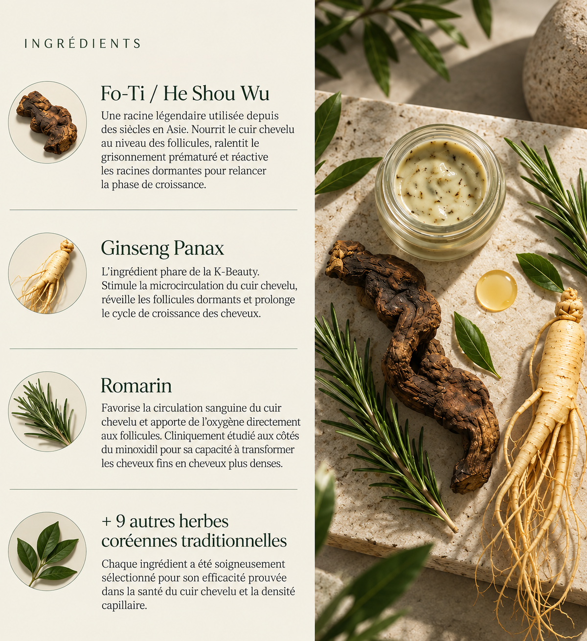 Savon Coréen Anti-Chute | 12 plantes Naturelle